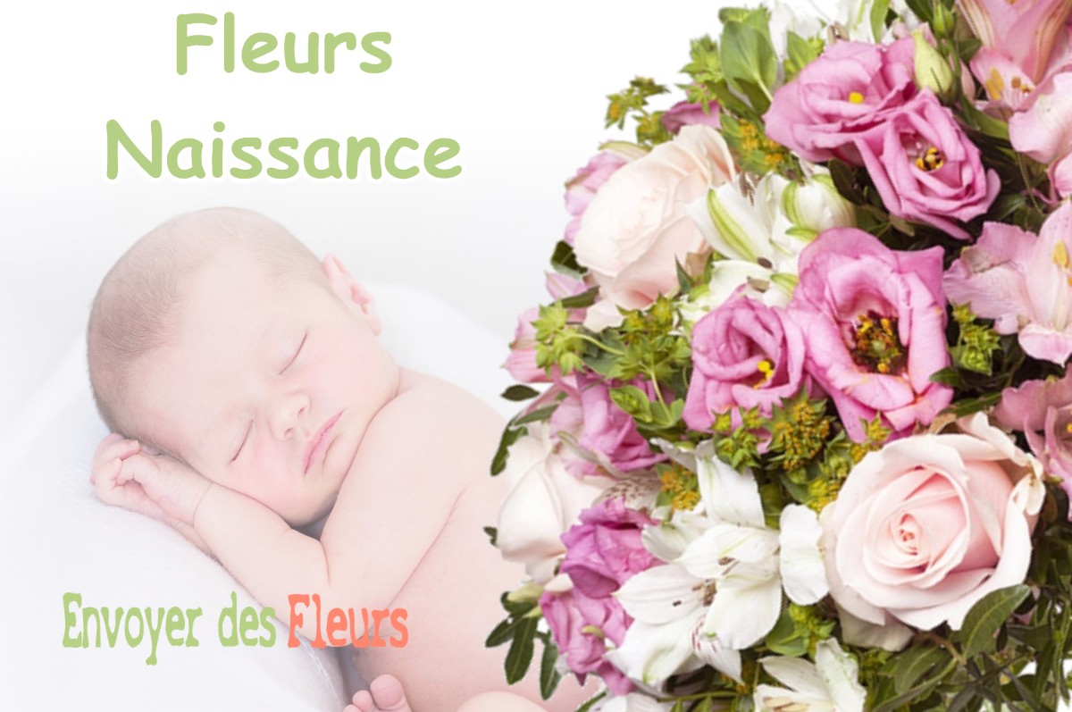 lIVRAISON FLEURS NAISSANCE à BRIEULLES-SUR-MEUSE